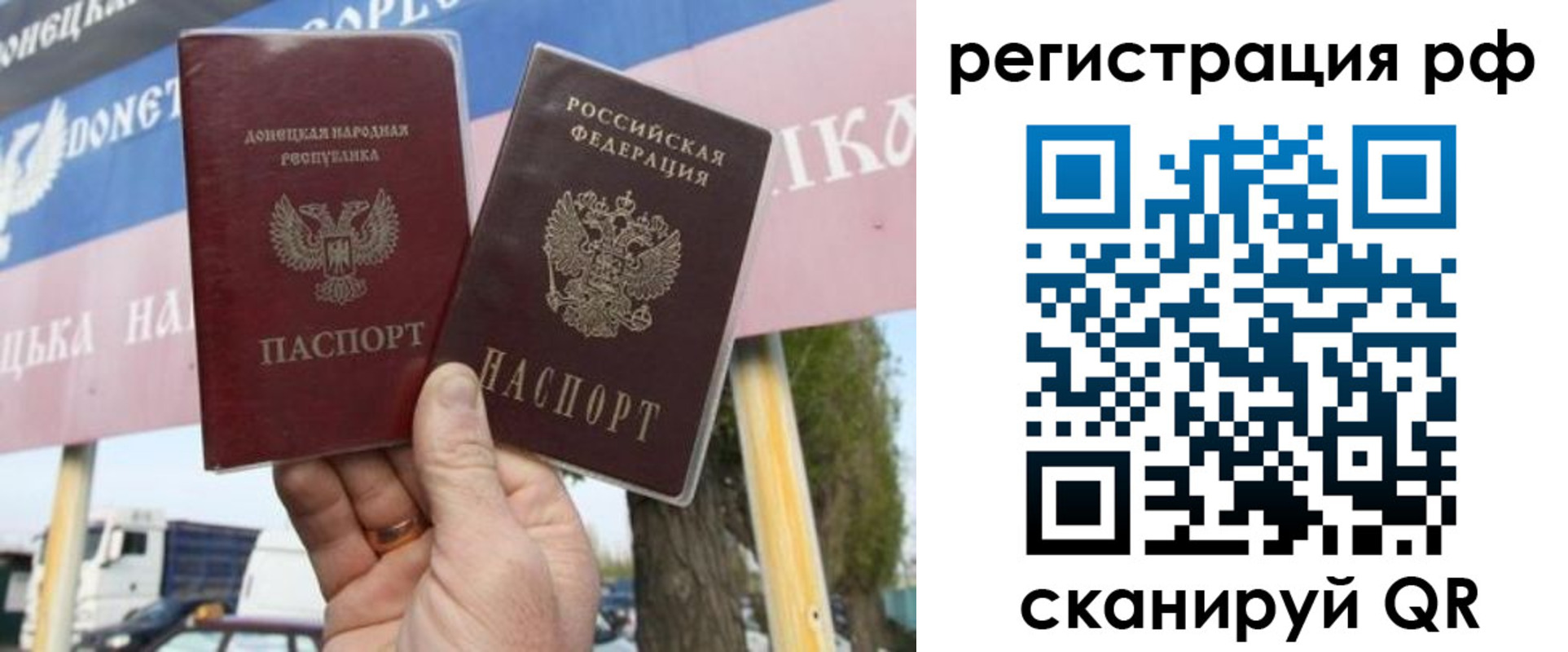 временная регистрация надежно в Курской области